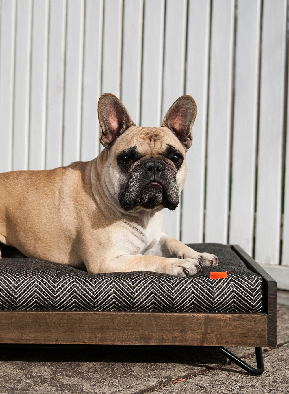 ikko Barnum Bed