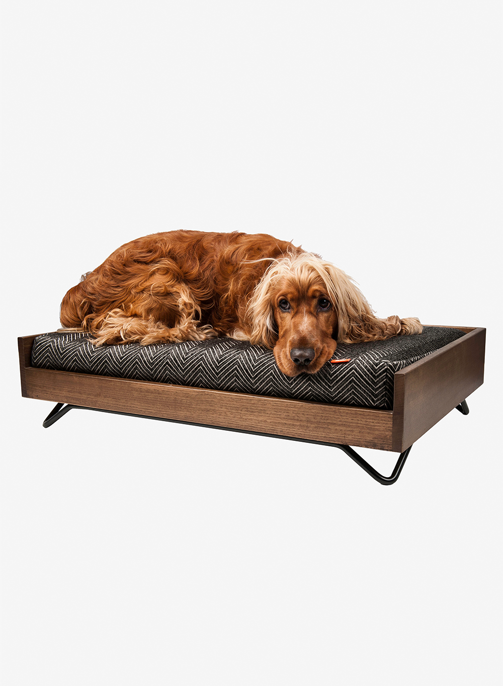 ikko Barnum Bed